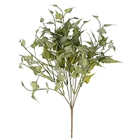 Bouquet de lierre