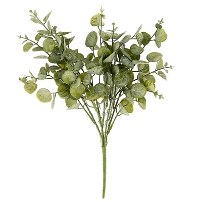 Eucalyptus bouquet - Cinerea