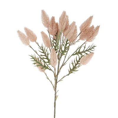 Hare tail branch - Natural