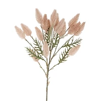 Hare tail branch - Natural