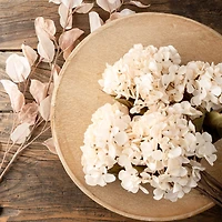 Hydrangea stem - Cream