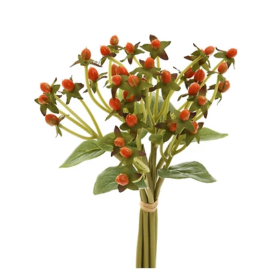 Bouquet hypericum