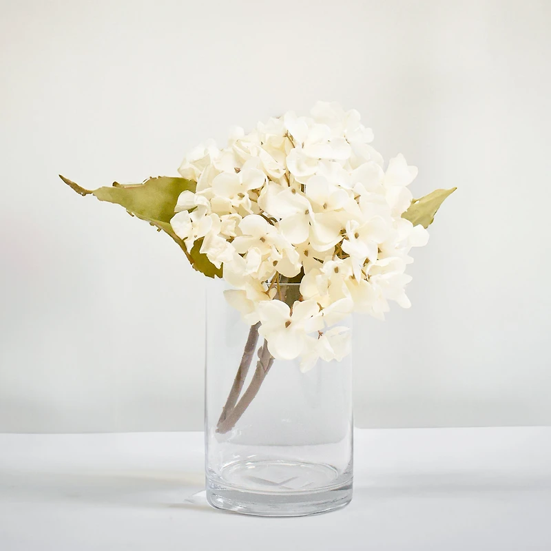 Vase cylindre 6"