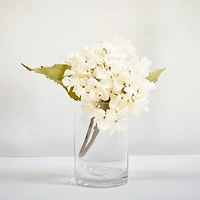 Vase cylindre 6"