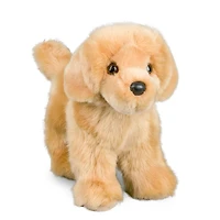 Peluche - Chap le Golden retriever