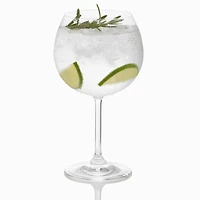 Ensemble de 2 verres à gin