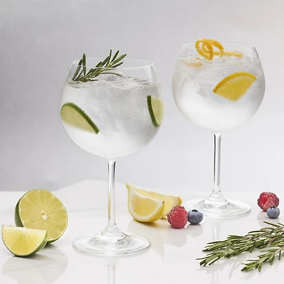 Set of 2 gin glasses