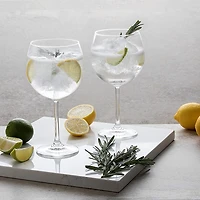 Ensemble de 2 verres à gin
