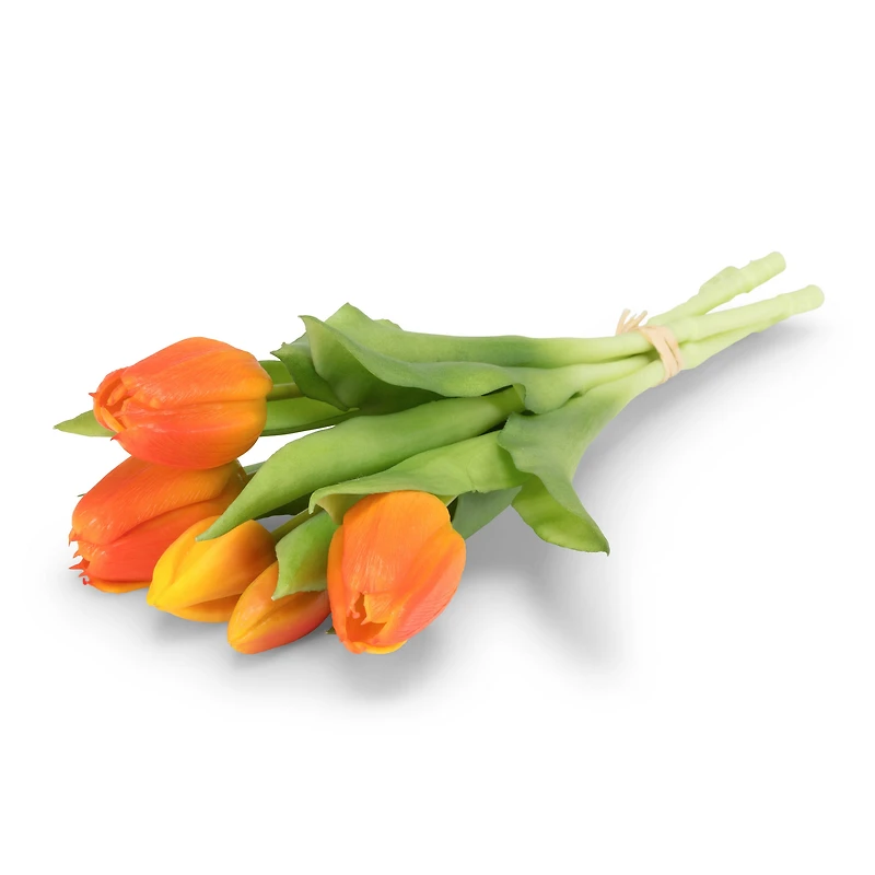 Realistic tulips - Oranges