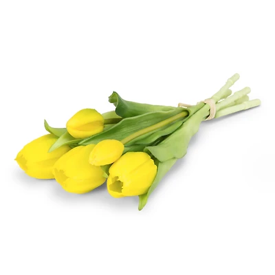 Tulipes réalistes - Jaunes