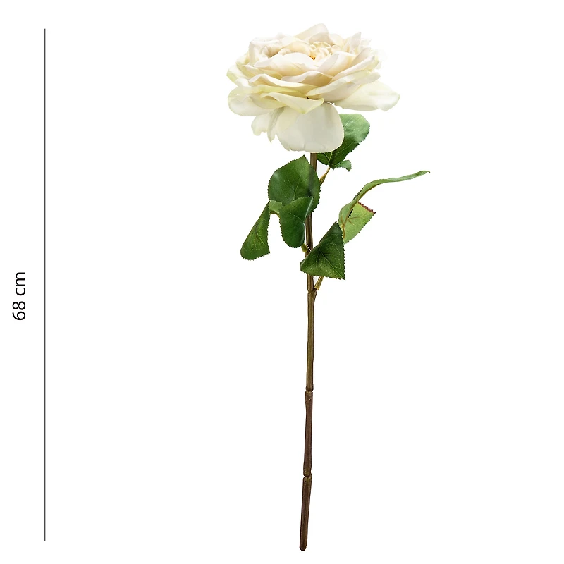 Rose stem - Cream