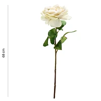 Rose stem - Cream