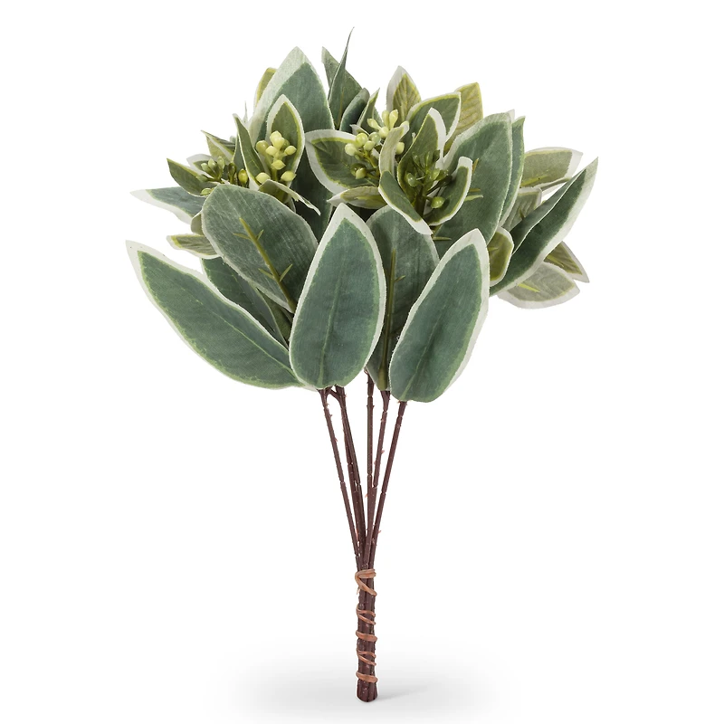 Bouquet of green leaves - Variegated