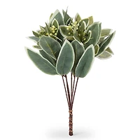 Bouquet of green leaves - Variegated