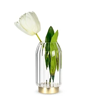 LED glass vase - Golden base