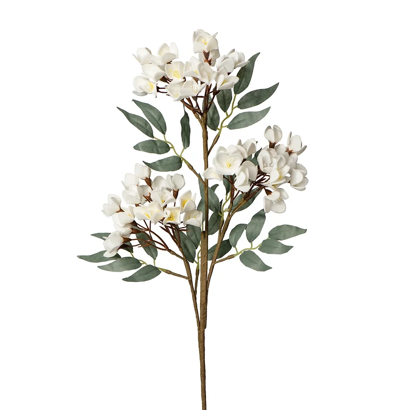 Cherry blossom flower stem