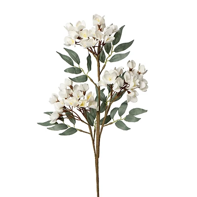 Cherry blossom flower stem