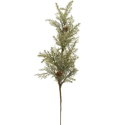 Cedar stem