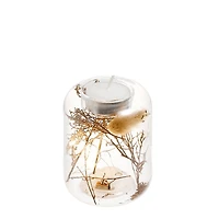 Lantern illuminated - Dried flowers