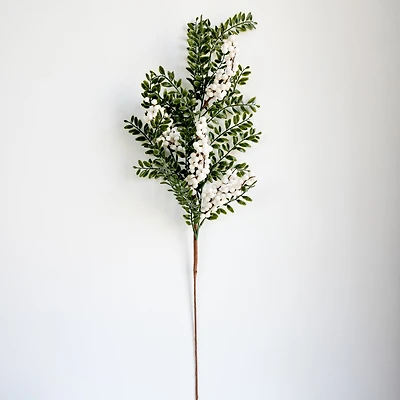 Branche de feuilles - Baies blanches