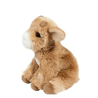 Peluche - Dandie la mini chèvre
