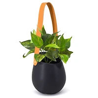 Wall planter with strap