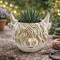 Cache-pot - Vache Highland