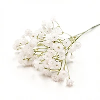 Branche d'allium - Blanc