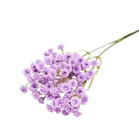 Allium branch - Lilac