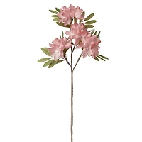 Apple blossom stem - Rose