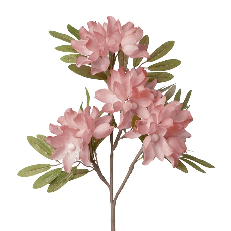 Apple blossom stem - Rose