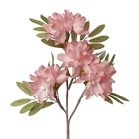 Apple blossom stem - Rose