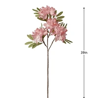 Apple blossom stem - Rose