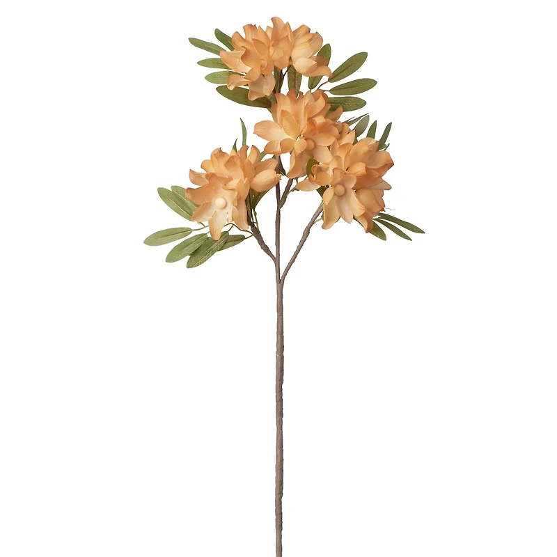 Apple blossom stem - Orange