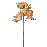 Apple blossom stem - Orange
