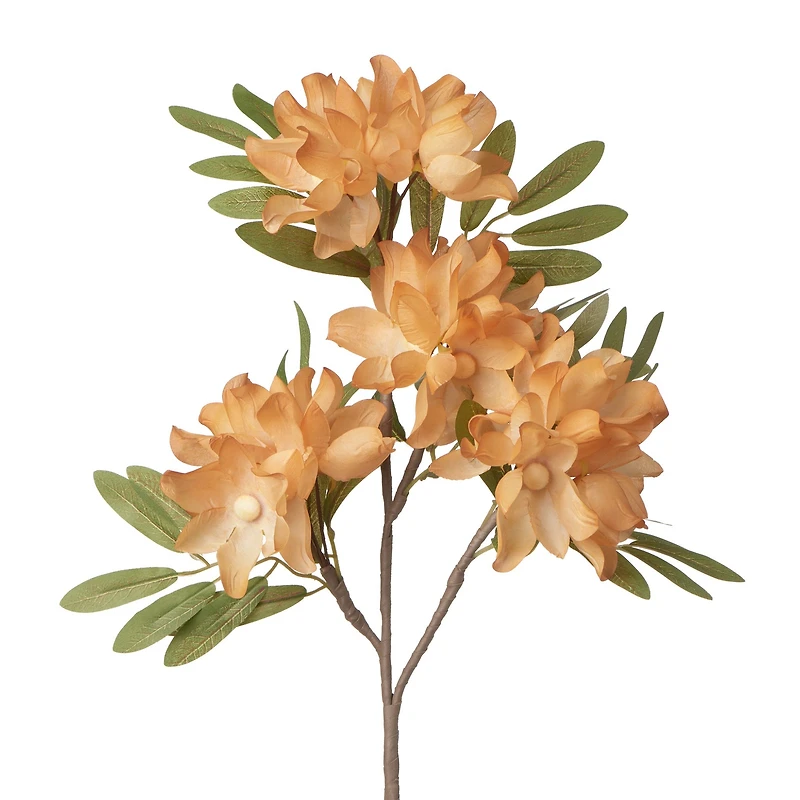 Apple blossom stem - Orange