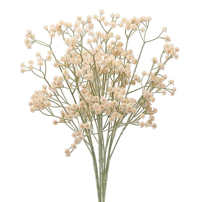 Branche soupir de bébé - Crème