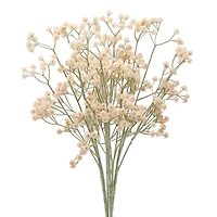 Branche soupir de bébé - Crème