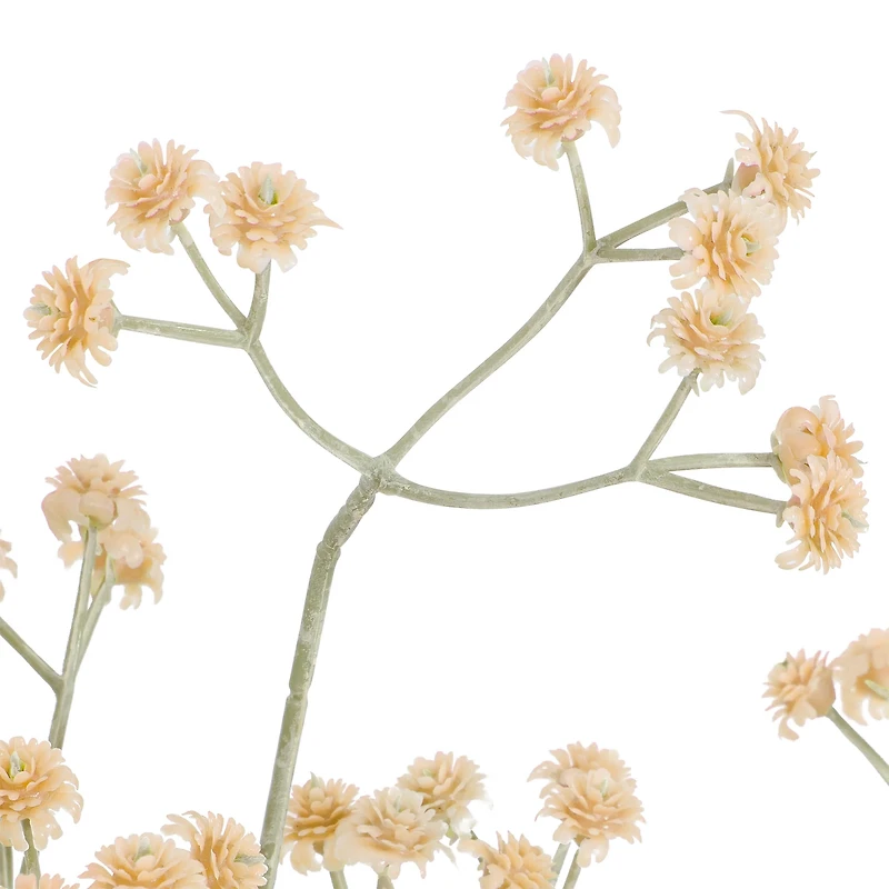 Branche soupir de bébé - Crème