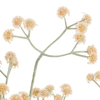 Branche soupir de bébé - Crème
