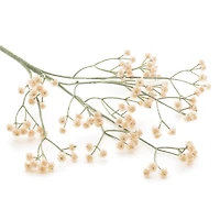 Branche soupir de bébé - Crème