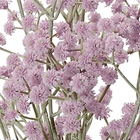 Branche soupir de bébé - Lilas