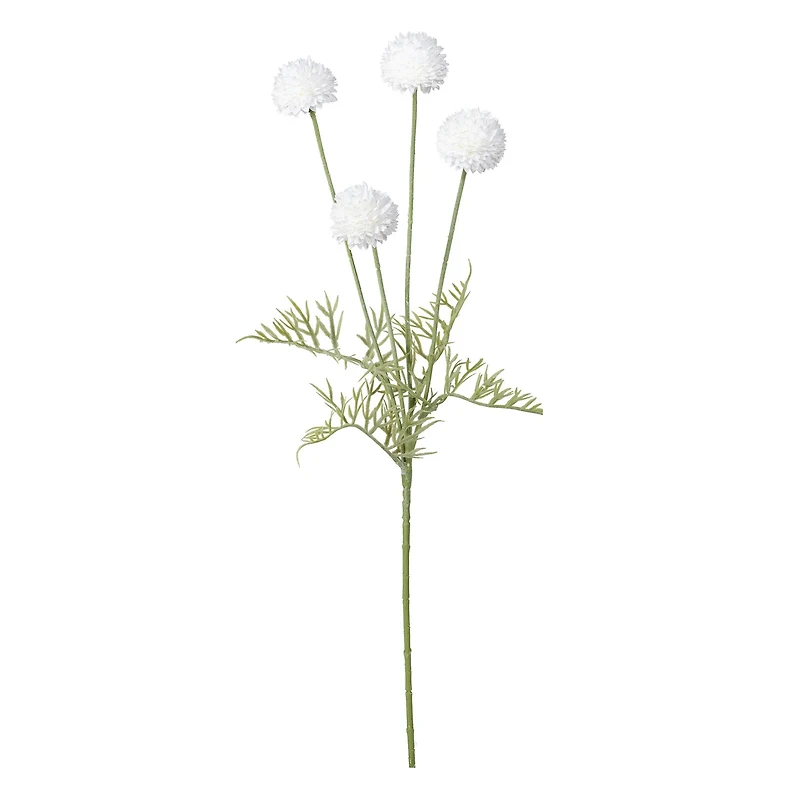 Tige de pompons - Blanche