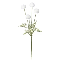 Tige de pompons - Blanche