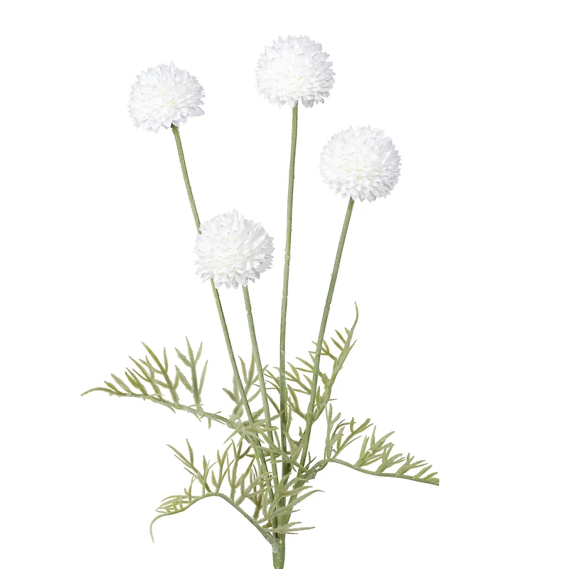 Tige de pompons - Blanche
