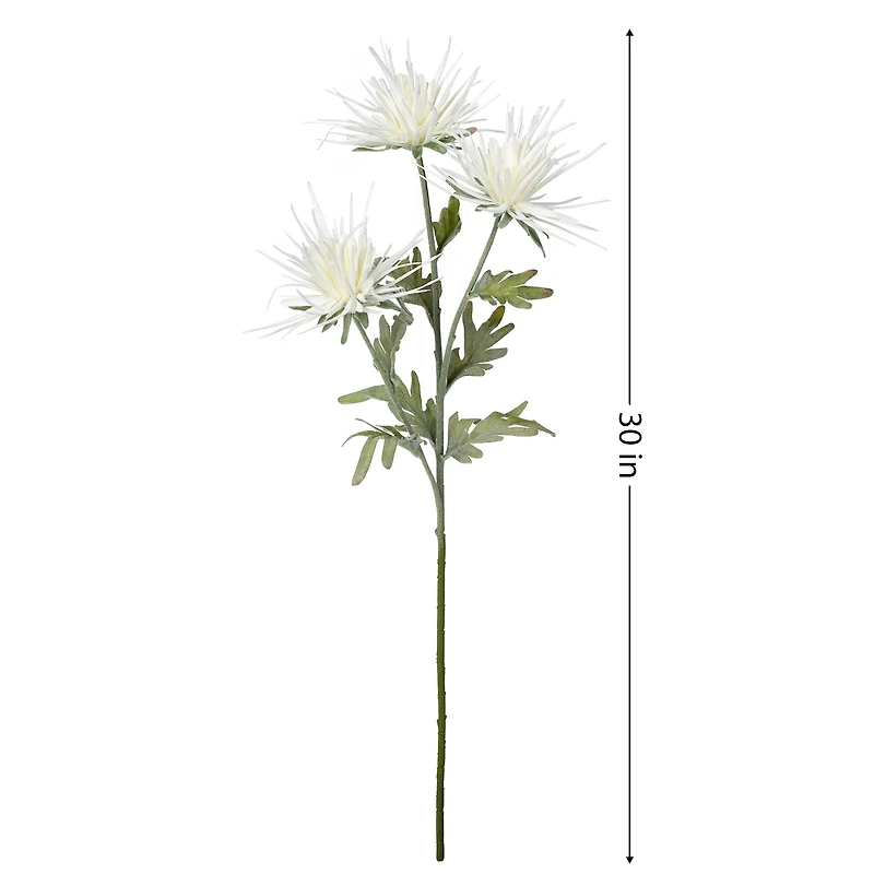 Dahlia flower stem - White