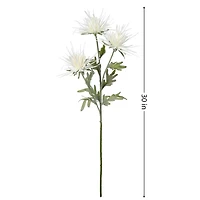 Dahlia flower stem - White