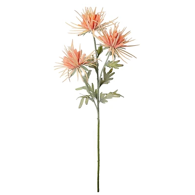 Tige de fleurs Dhalias - Orange