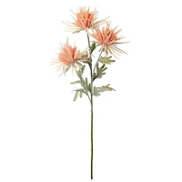 Tige de fleurs Dhalias - Orange