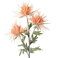 Dahlia flower stem - Orange